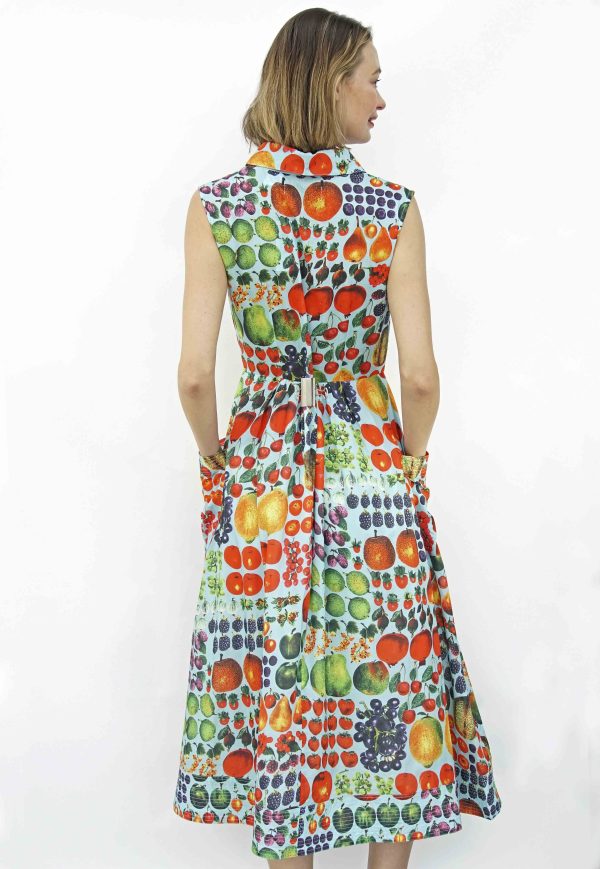 Sea Island Dress Farmer's Market Vintage Print - Image 5